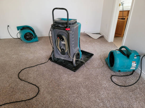 Best Emergency water damage restoration  in Bayfield, CO