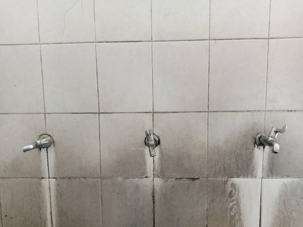 Best Water damage restoration near me  in Bayfield, CO
