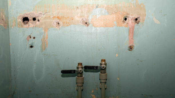 Best Water damage contractors near me  in Bayfield, CO