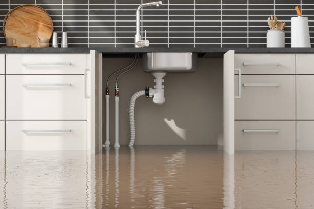 Best Ceiling water damage repair  in Bayfield, CO