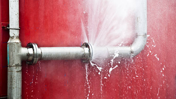 Best Ceiling water damage repair  in Bayfield, CO