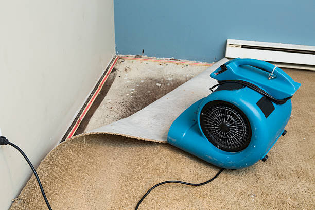 Best Fire Damage Restoration  in Bayfield, CO